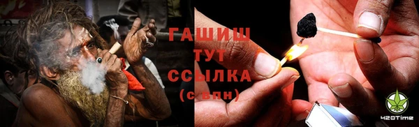 сатива Алексеевка