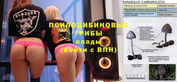 сатива Алексеевка
