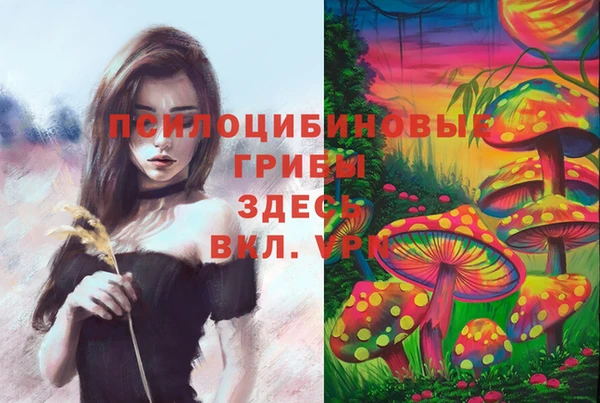гидра Алзамай