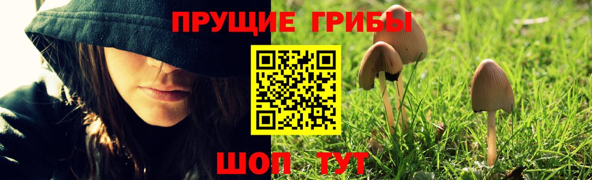 Галлюциногенные грибы прущие грибы Старый Оскол